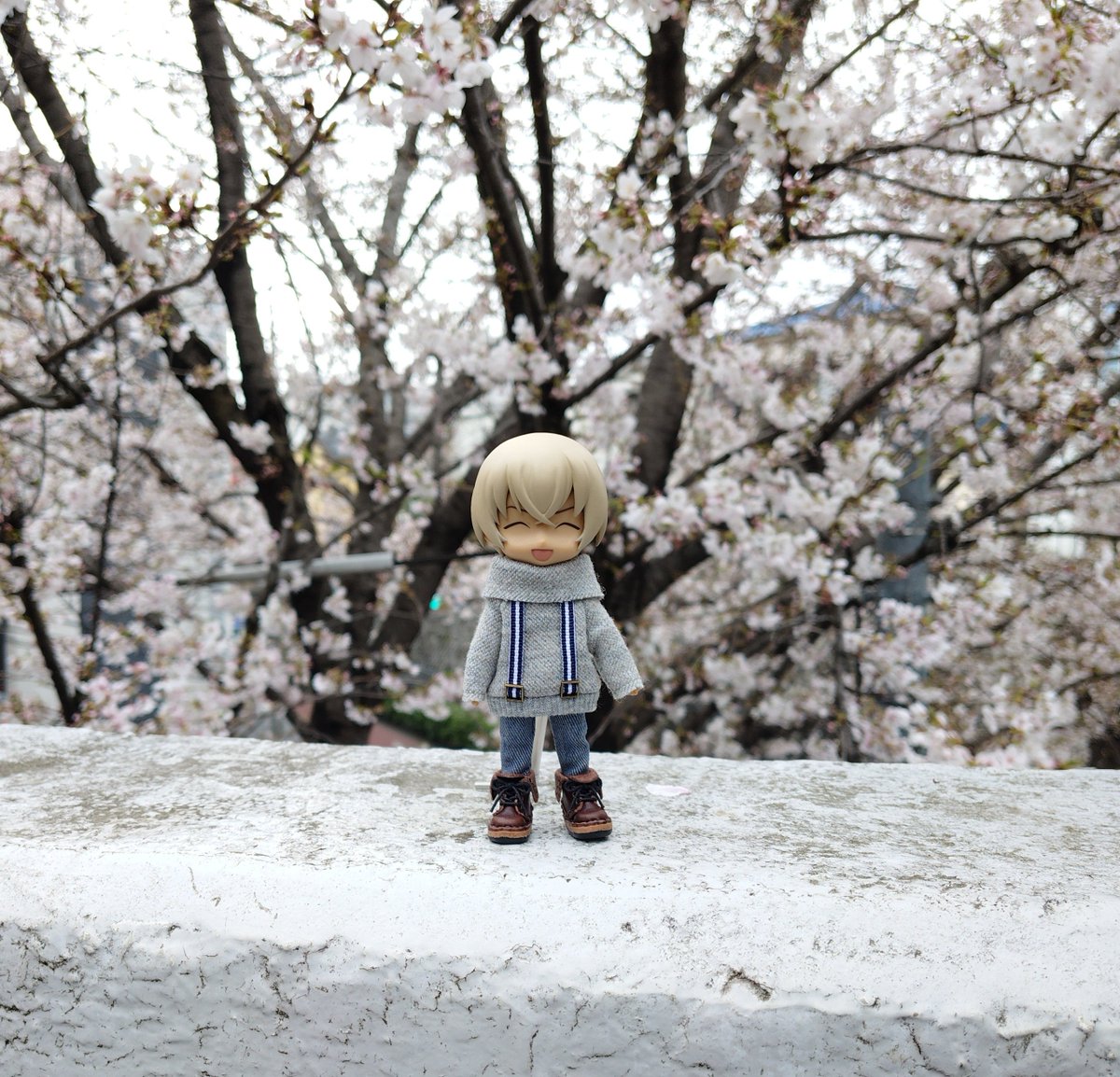 すみれ tweet media