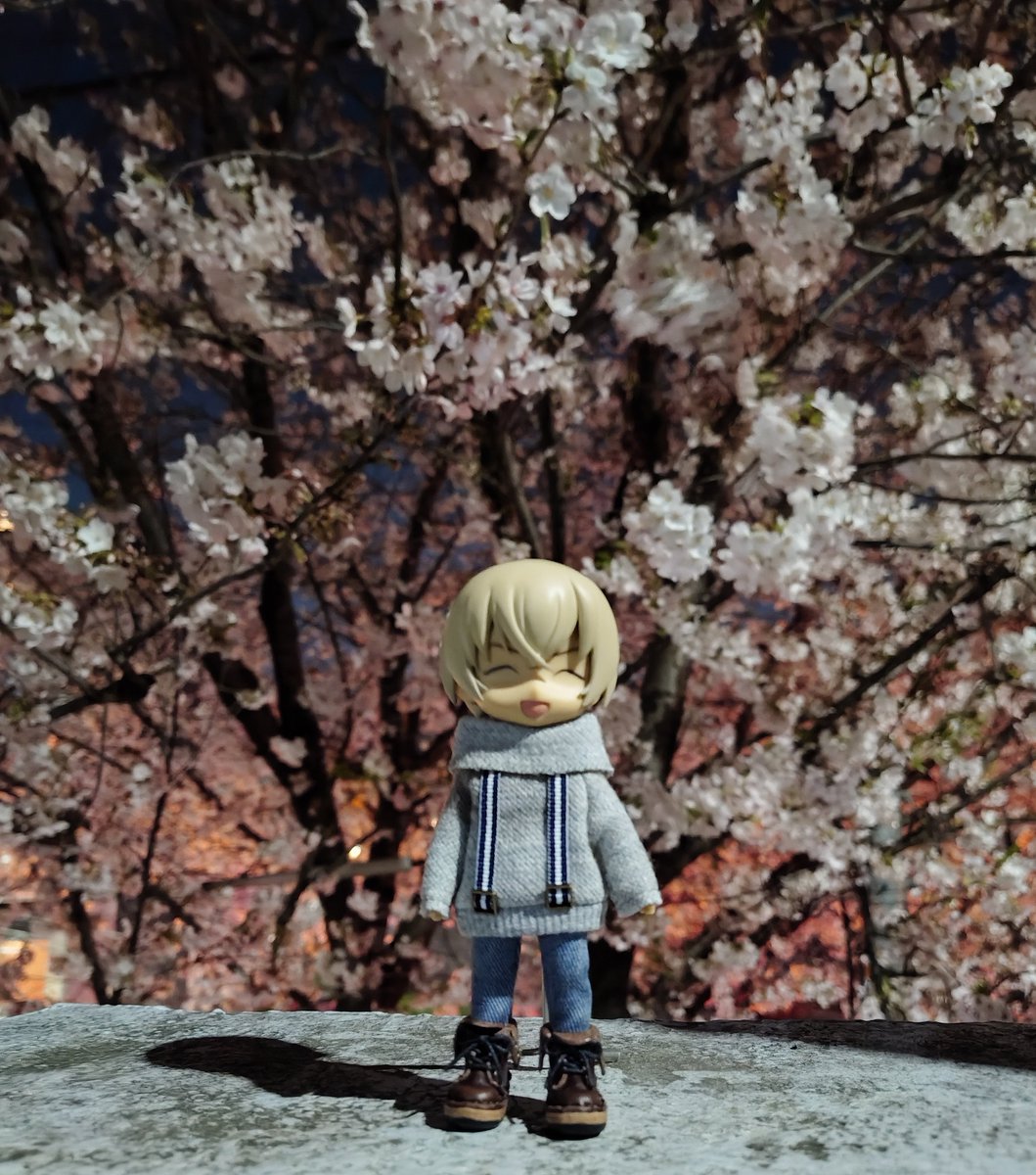 すみれ tweet media