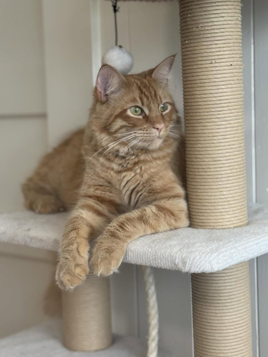 Sara Mary ⭐❤️ tweet media