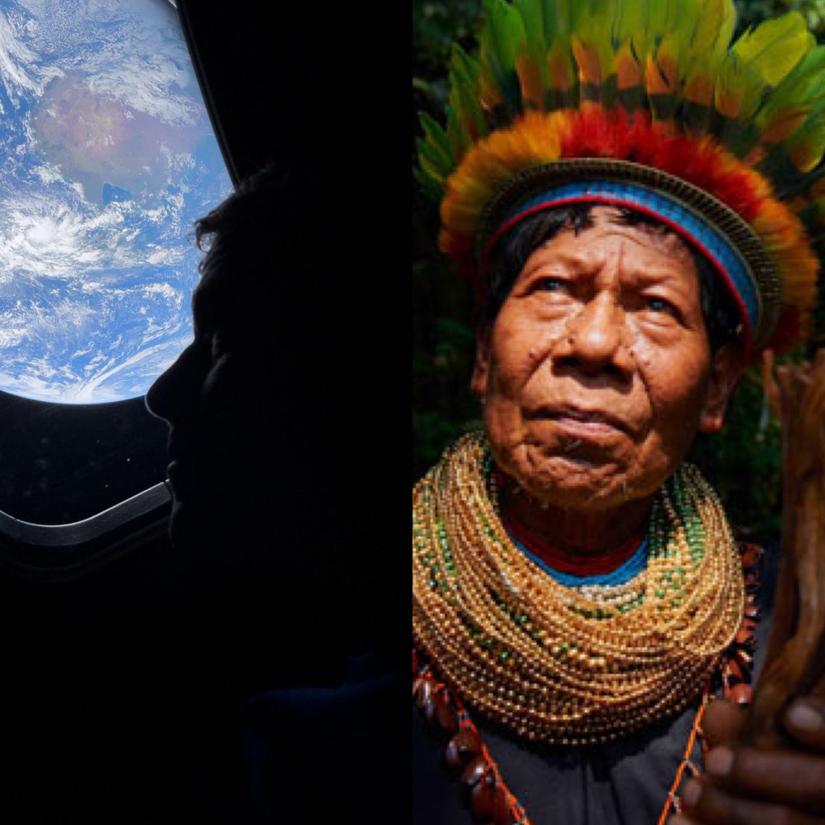 Cerebros tweet media