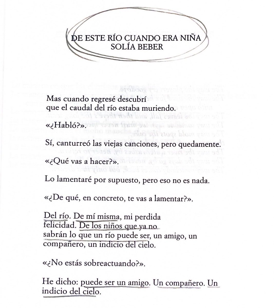 camila mermet tweet media