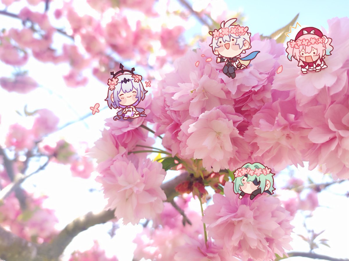 🌸✨DEKO✨🌸 tweet media