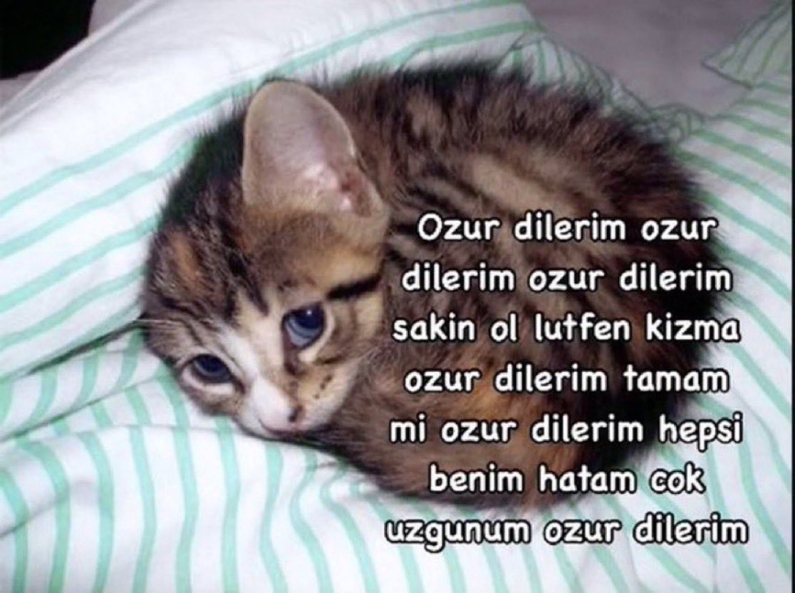 Woobo🇰🇷 tweet media