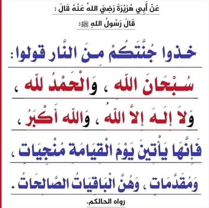 الدلما tweet media