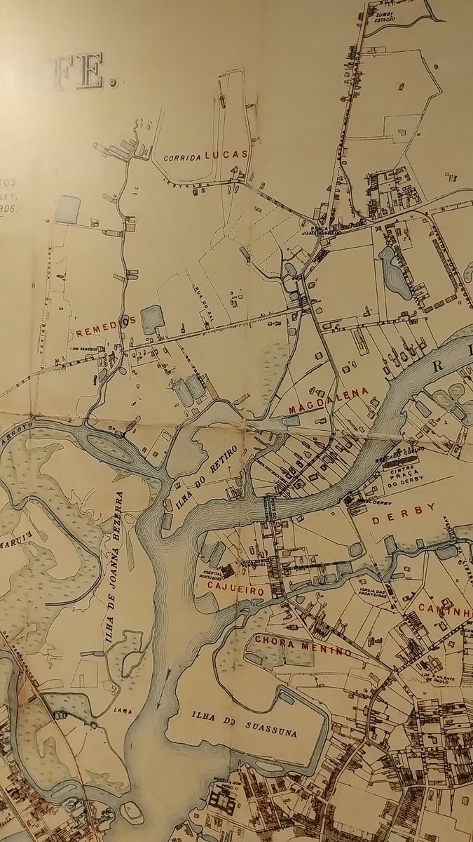 Perkon 🇧🇷 tweet media