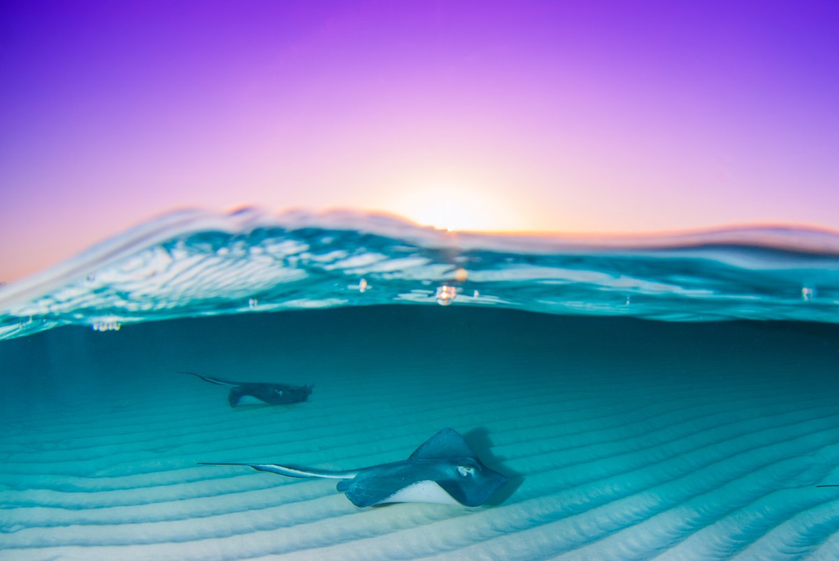 Setting up a Cayman Islands presence with CEC is quick, efficient, and cost-effective. Join hundreds of international businesses already operating from Cayman’s special economic zones and watch your business flourish.

Learn more about moving to Cayman: hubs.ly/Q049RbdS0