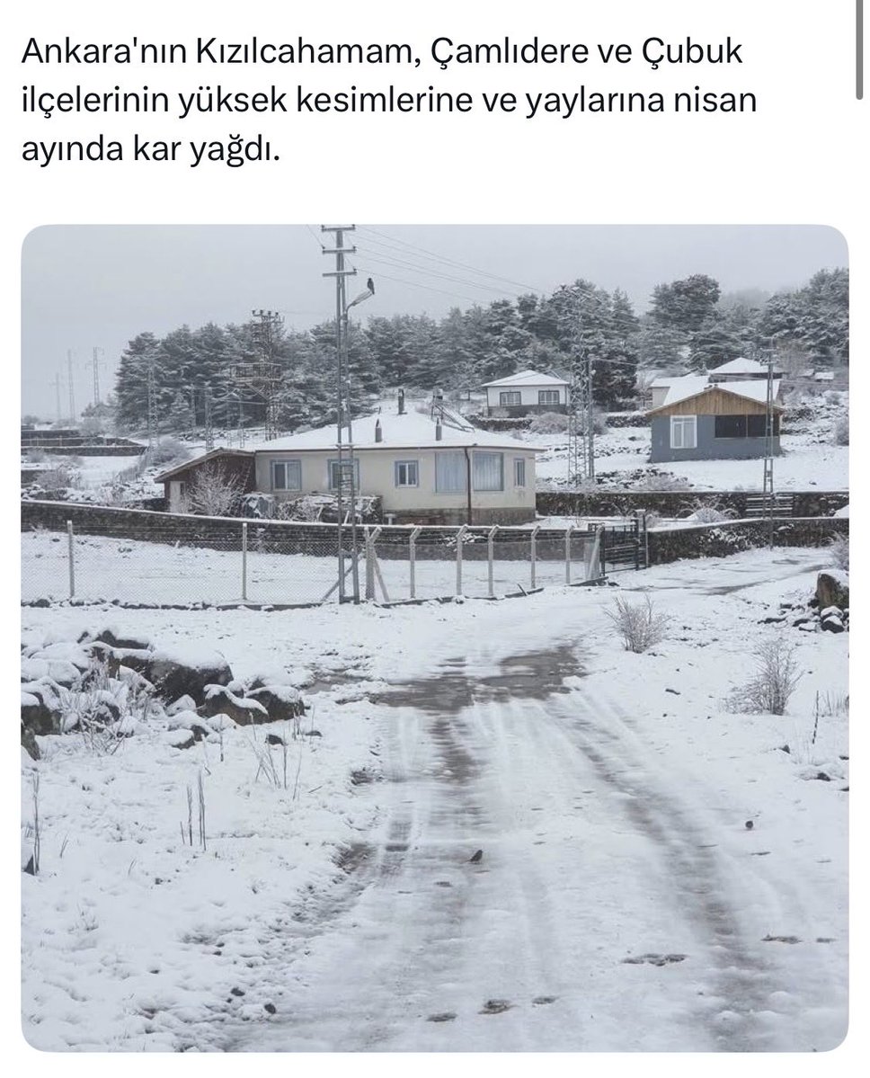 Acil Haberler tweet media