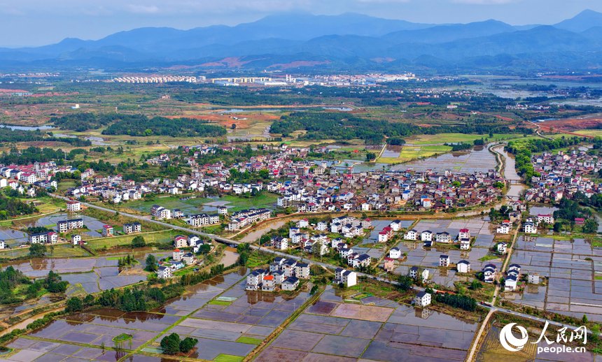 Zhu Jingyang tweet media