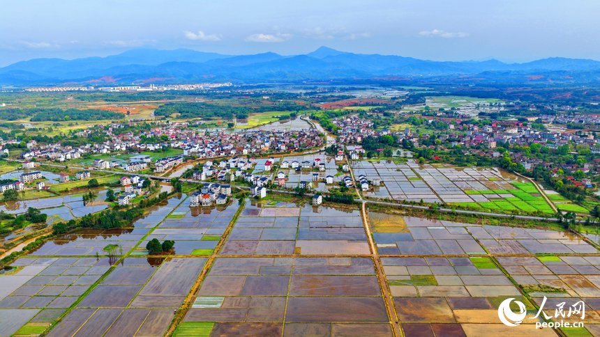 Zhu Jingyang tweet media