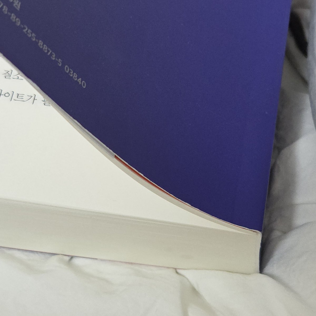 김룰루 tweet media