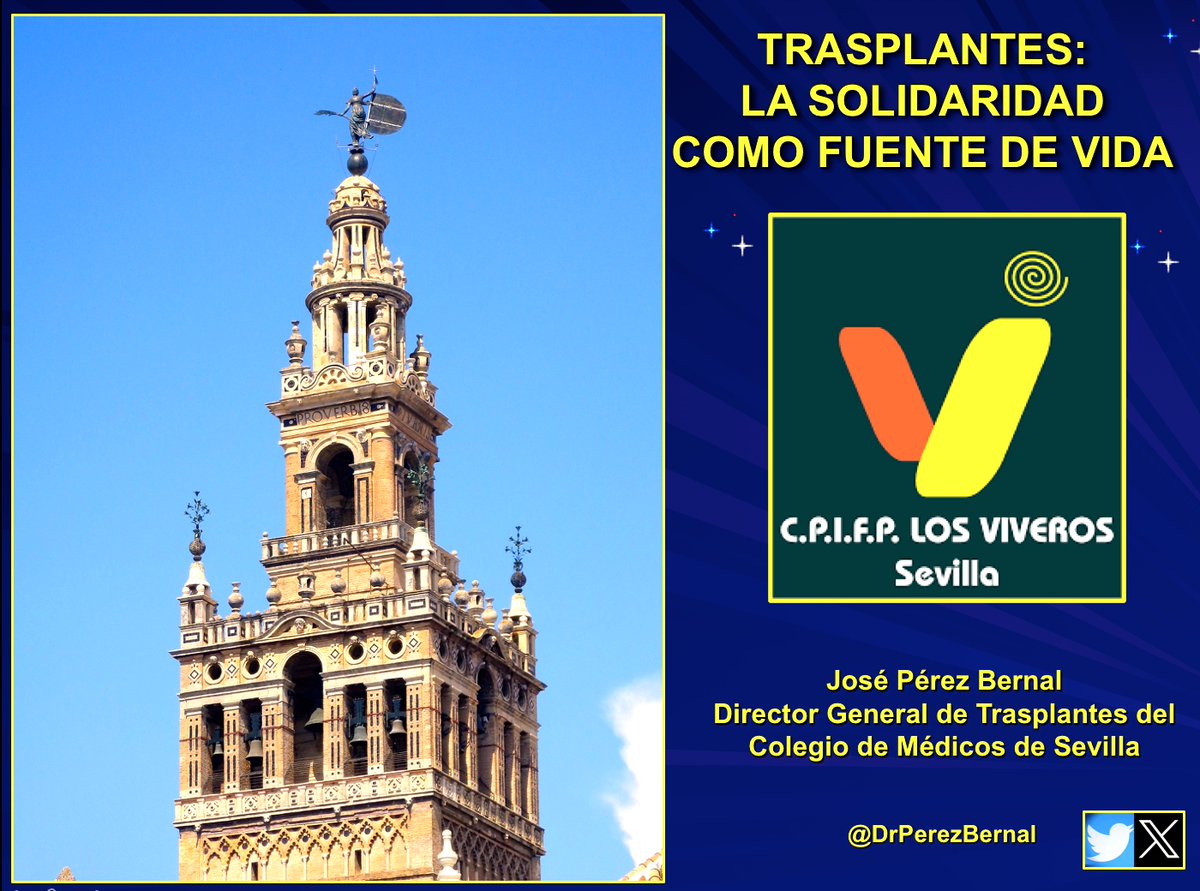 José Pérez Bernal tweet media
