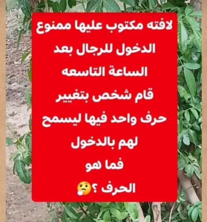 علي إسماعيل tweet media