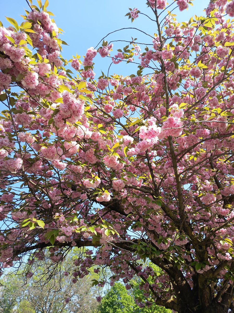 Tizia simpatica |-/ tweet media