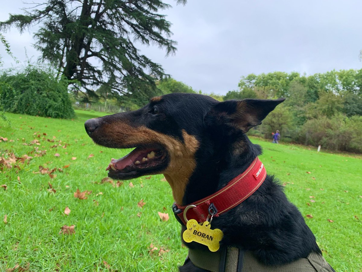 Dani (él) tweet media