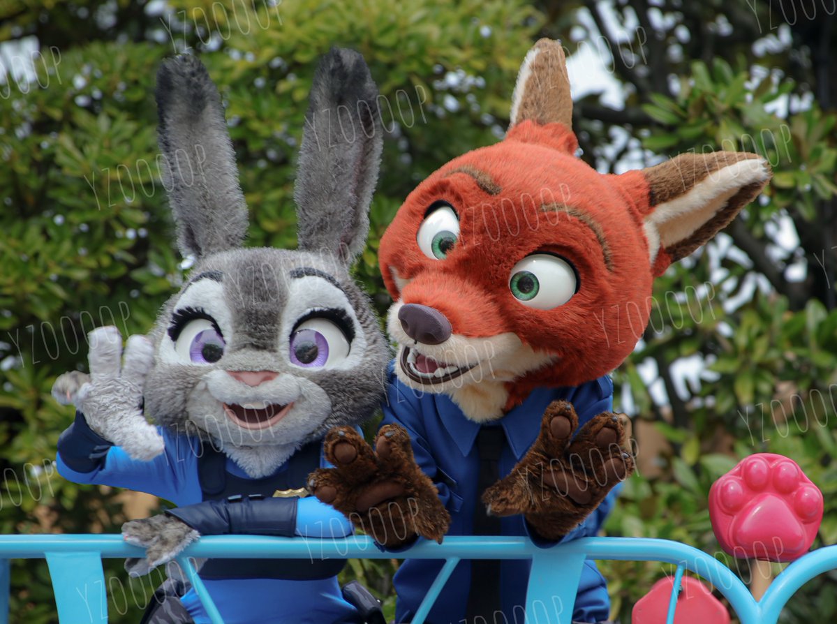 𝚢𝚘𝚙𝚘 tweet media