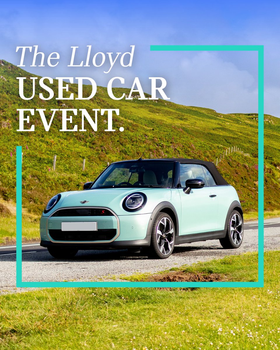 Lloyd MINI tweet media