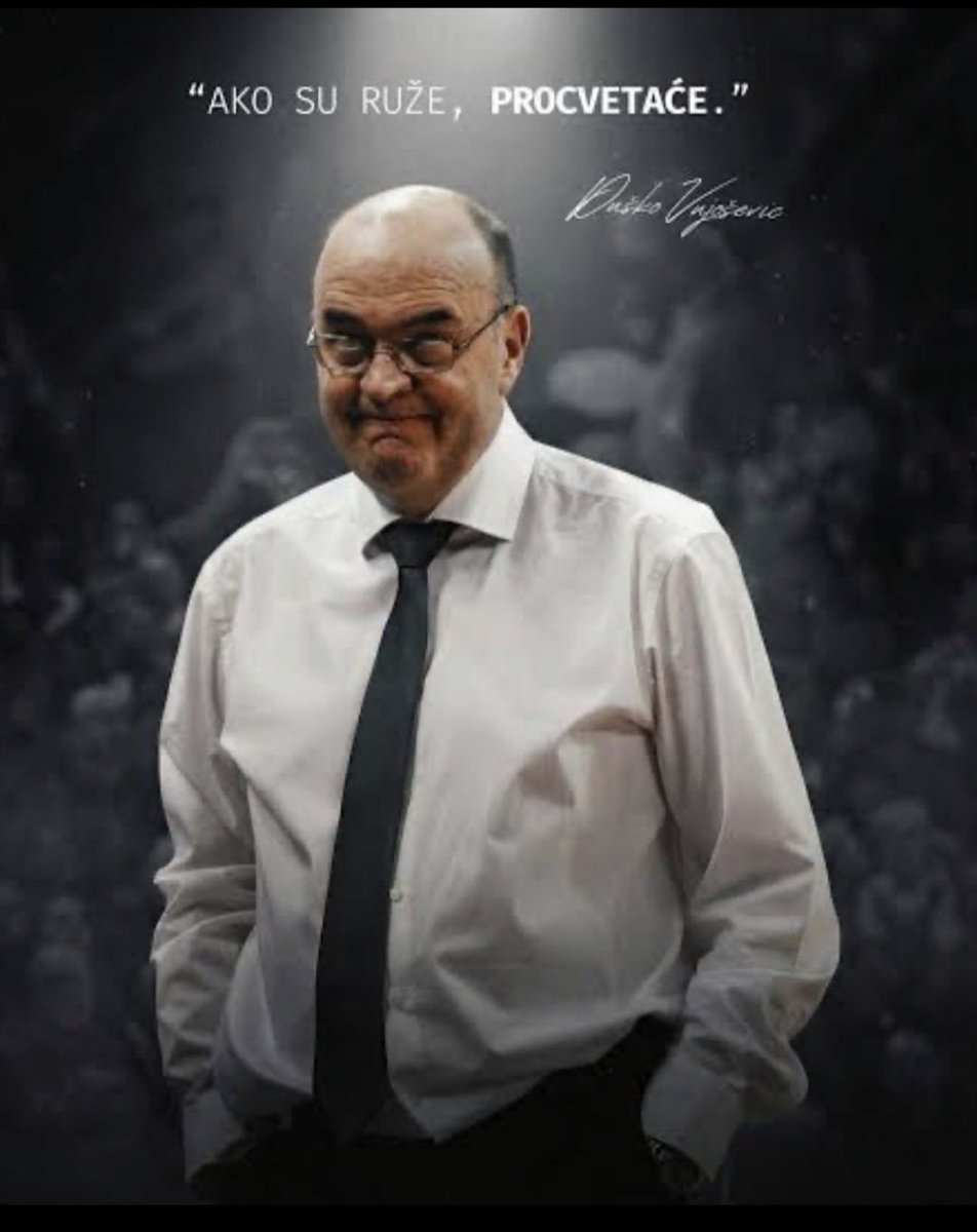 Ana Prodanovic tweet media