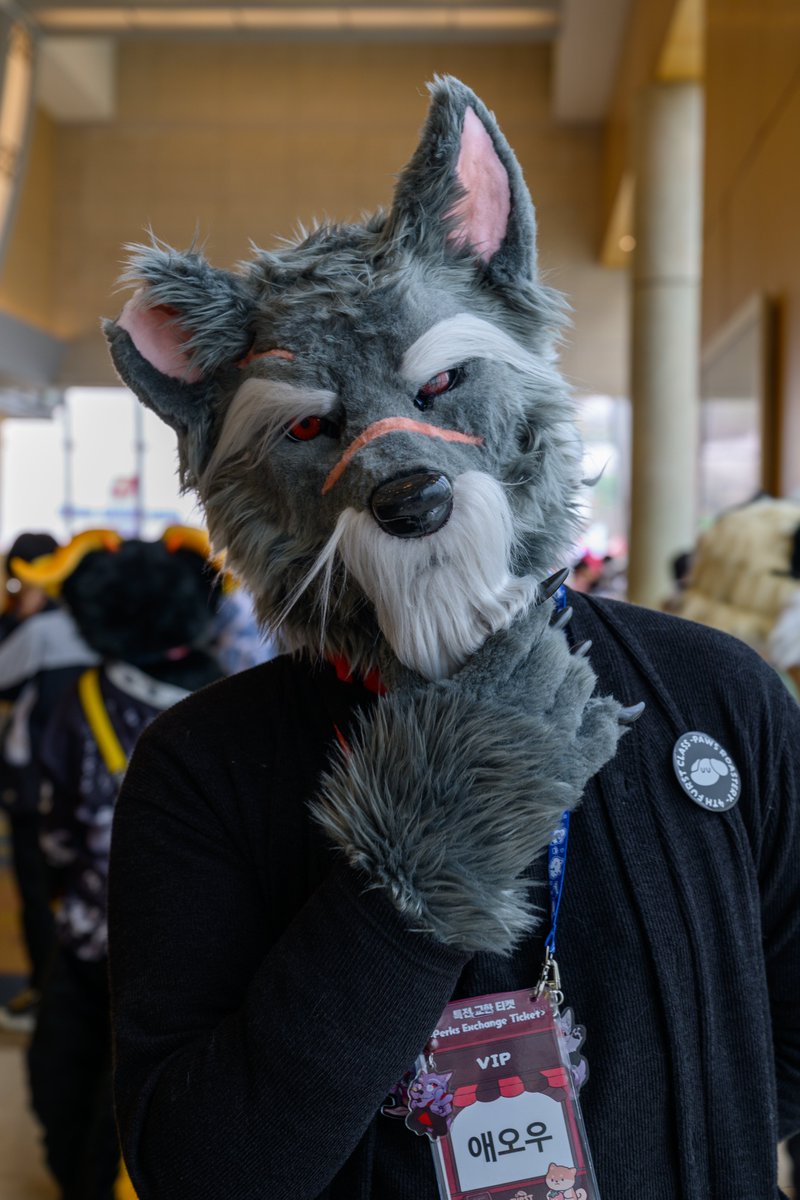 그레이엄 현 tweet media