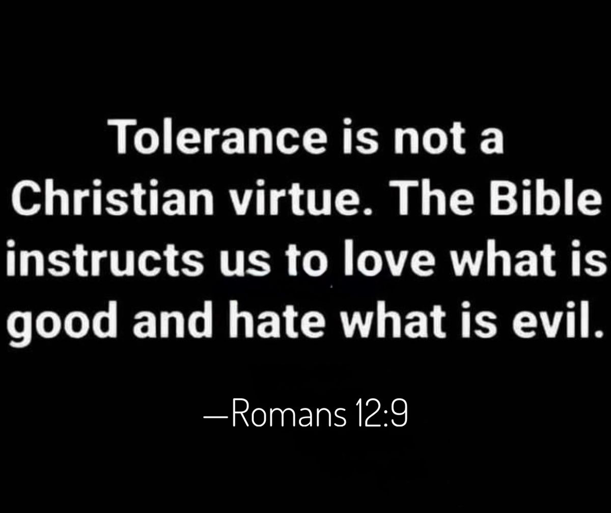 𝕊𝕠𝕝𝕒 ℂ𝕙𝕒𝕕 🎚️ tweet media