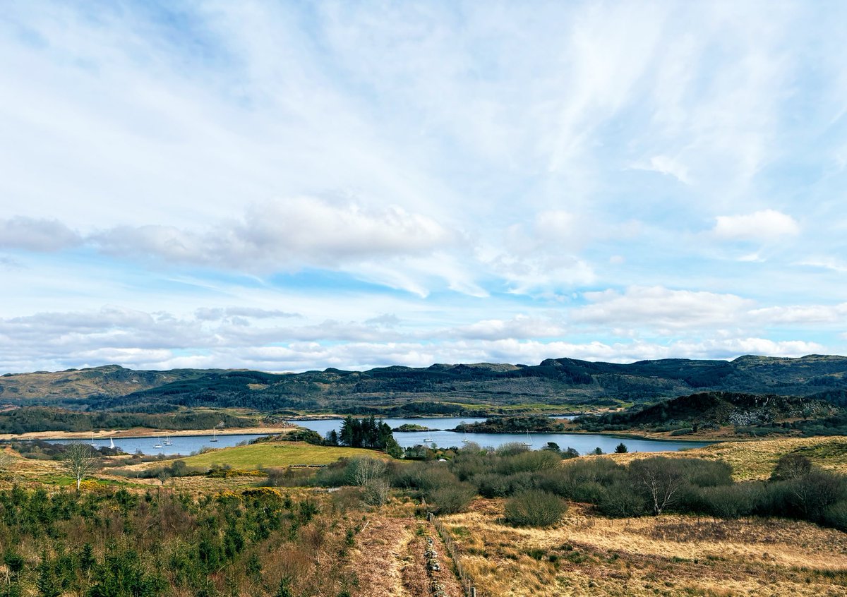 Simon Smith tweet media