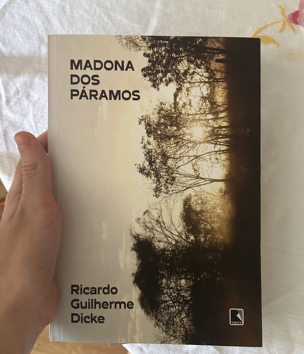 Darstellung tweet media