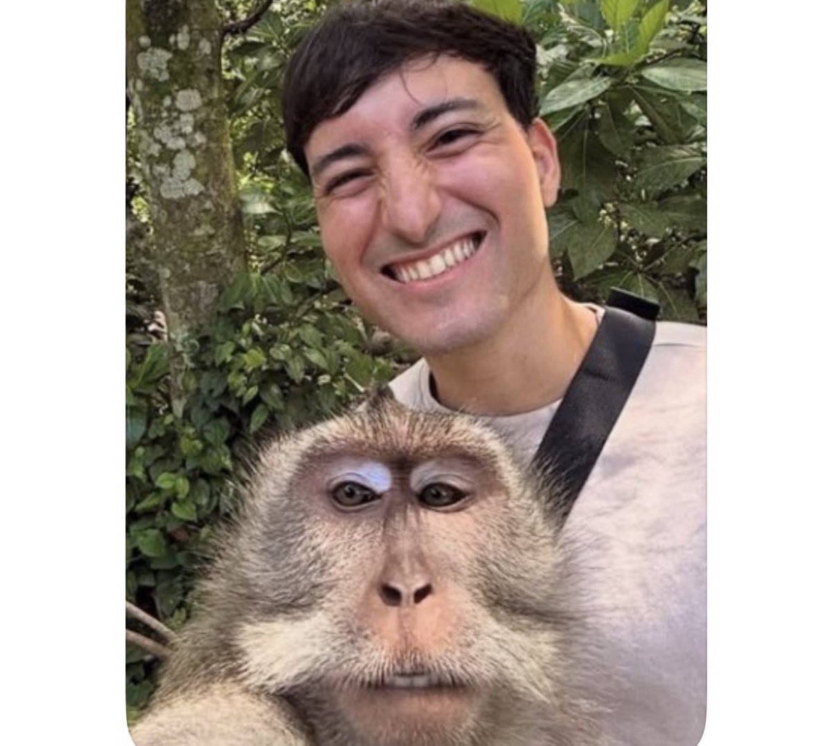 EL PRESI FOREVER tweet media