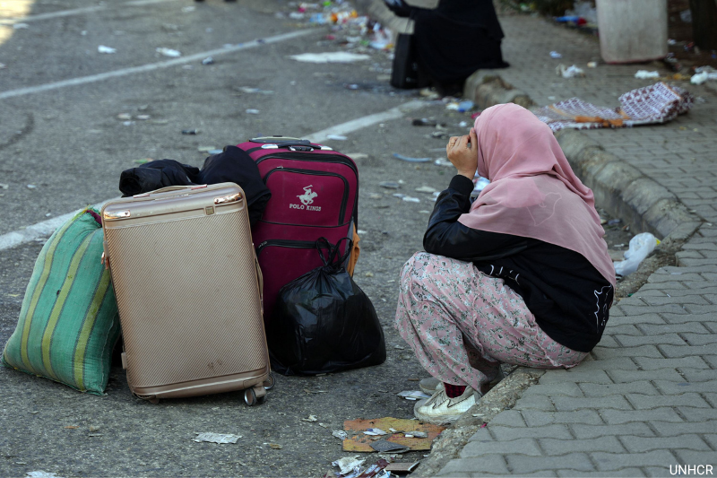Nações Unidas tweet media