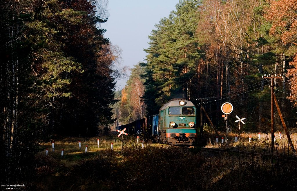 🚈Norem🏳️🌈🏳️⚧️ tweet media