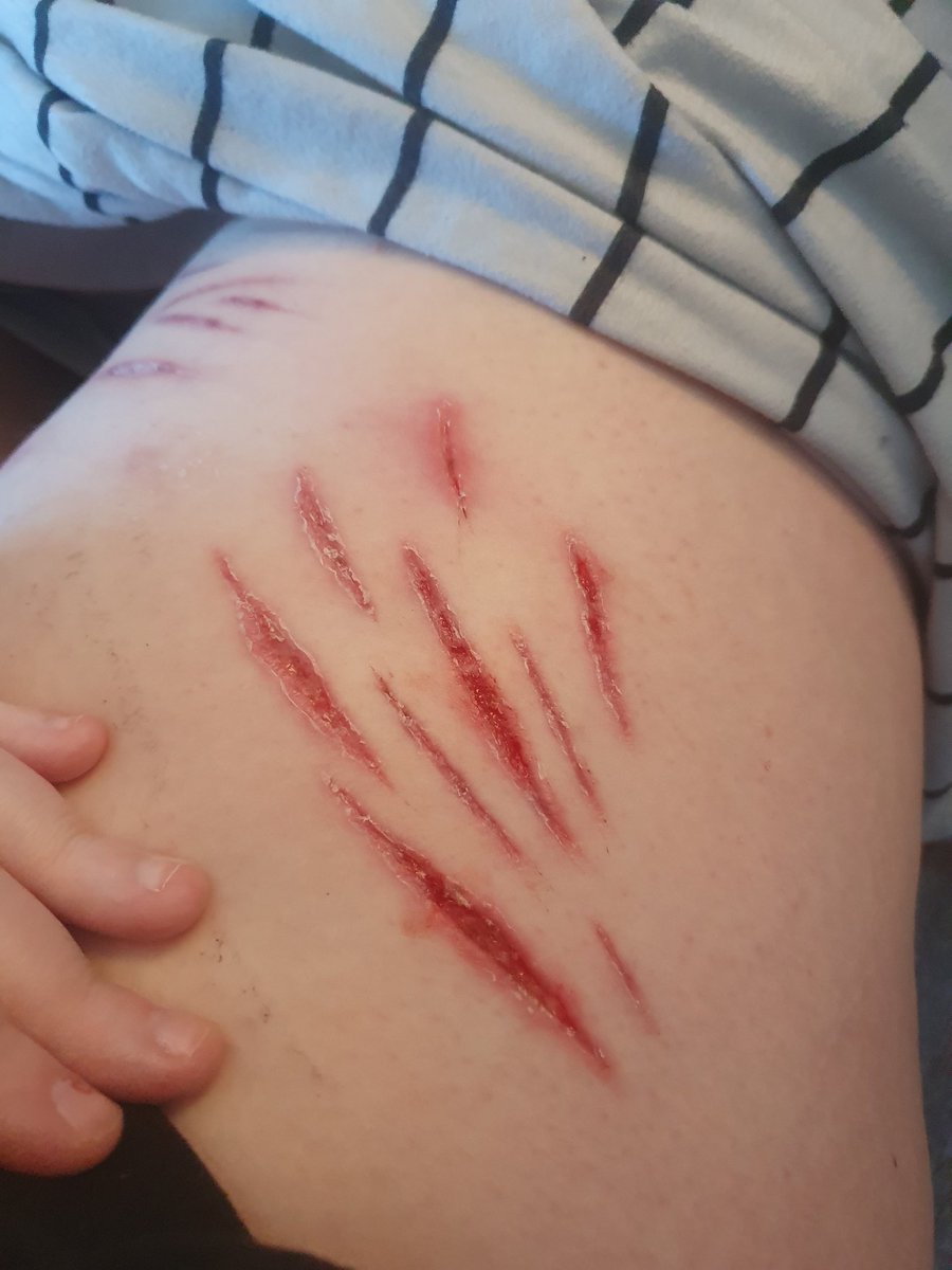 ♡Puppy's shedtwt!!♡ tweet media