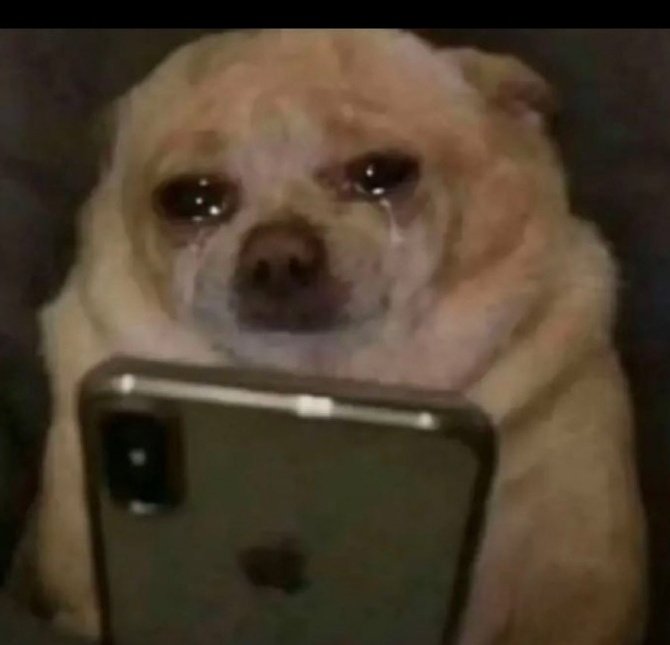 THIAGO☺️ tweet media