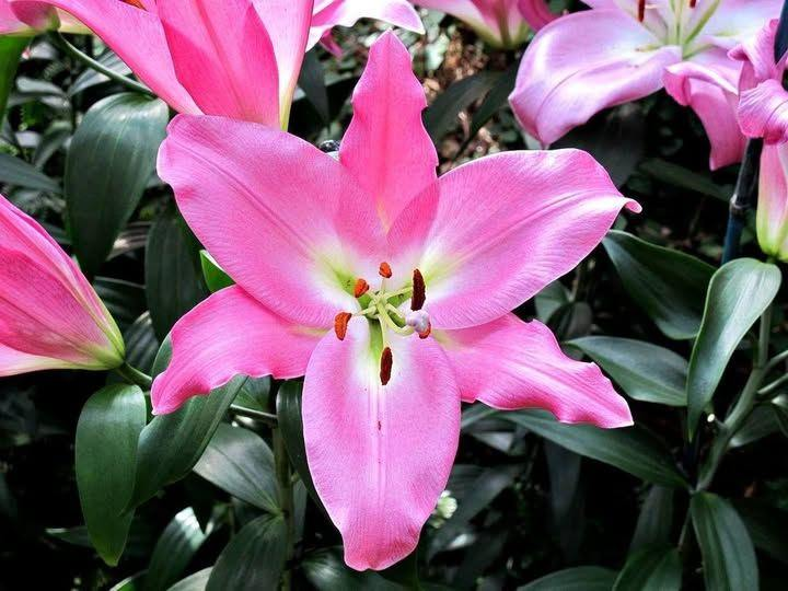 Roy Kelley tweet media