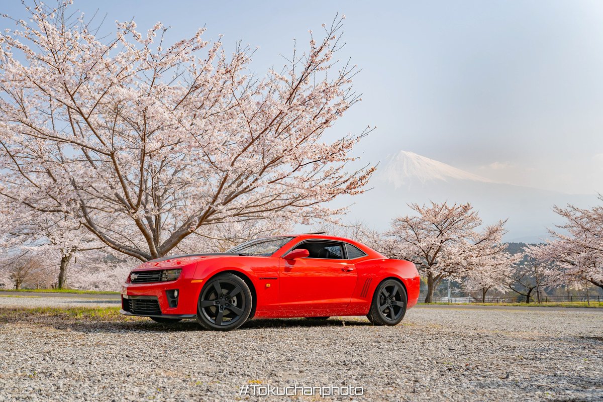 𝑨 𝑲 𝑰 tweet media