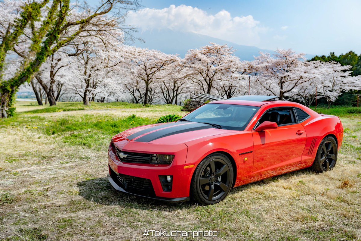 𝑨 𝑲 𝑰 tweet media