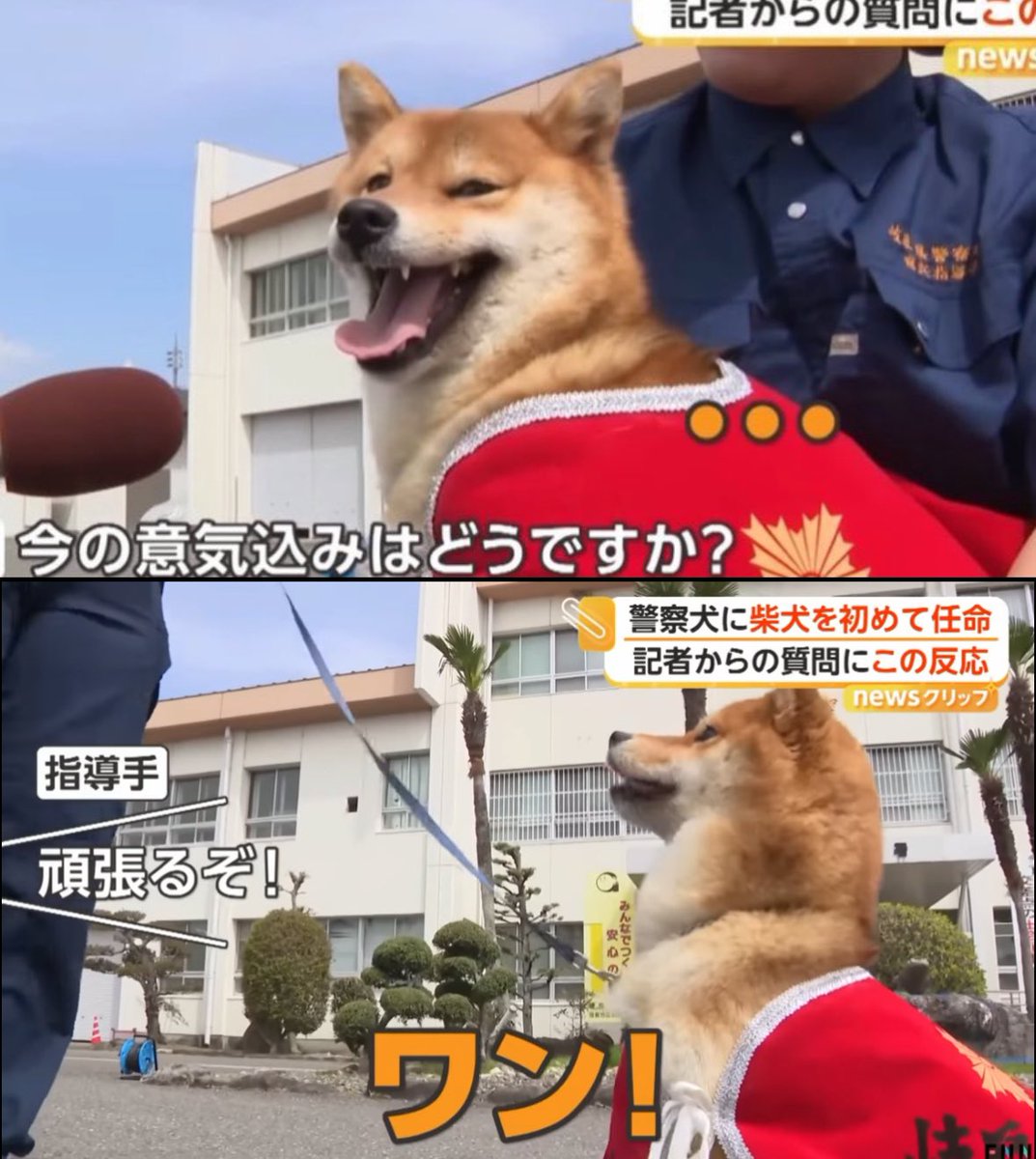 🏆それいけ★¨̮あっきー🏆【本垢】フォロバ祭り17 tweet media