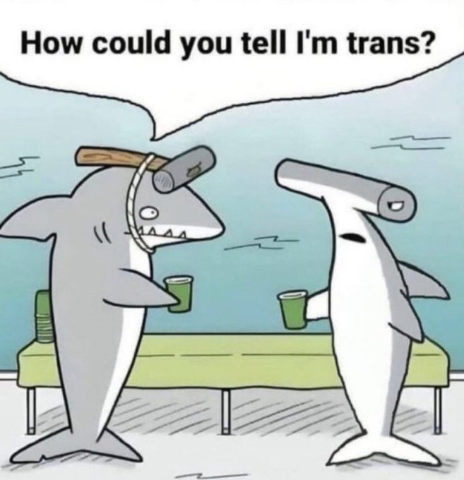 captive dreamer tweet media