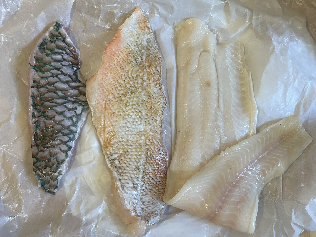 오늘의 생선 사진