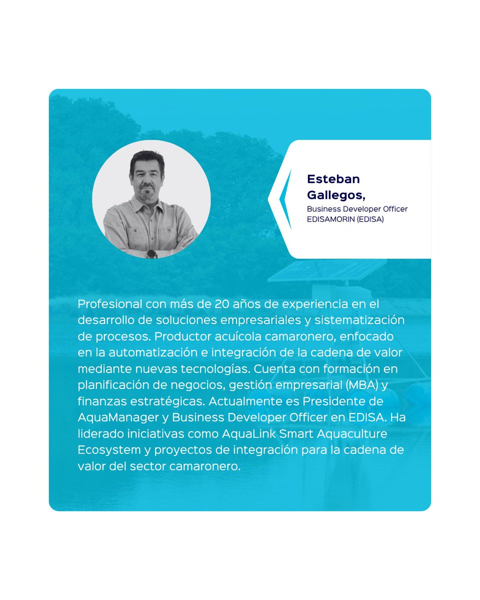 SustainableShrimp tweet media