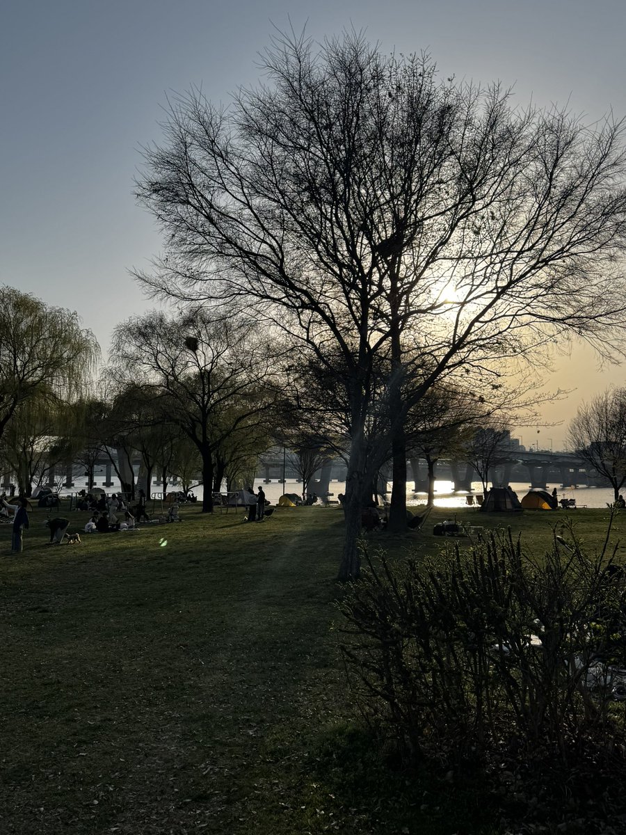 가많이 tweet media