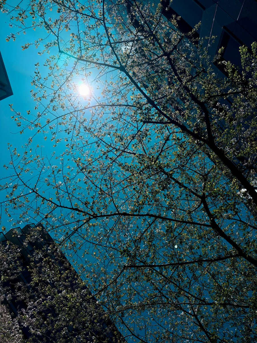 ピエール中野 凛として時雨 ピヤホン監修 tweet media