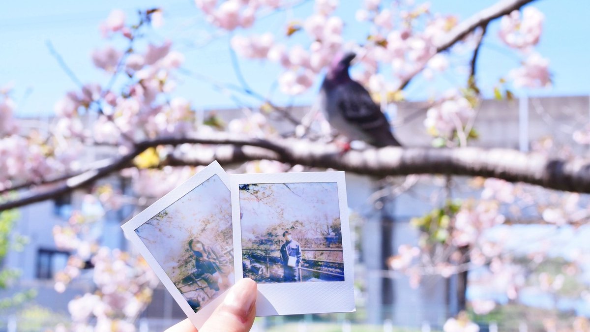 𝕠𝕚𝕞𝕠 tweet media