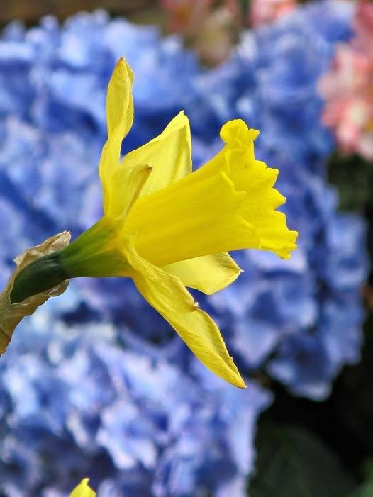 Roy Kelley tweet media