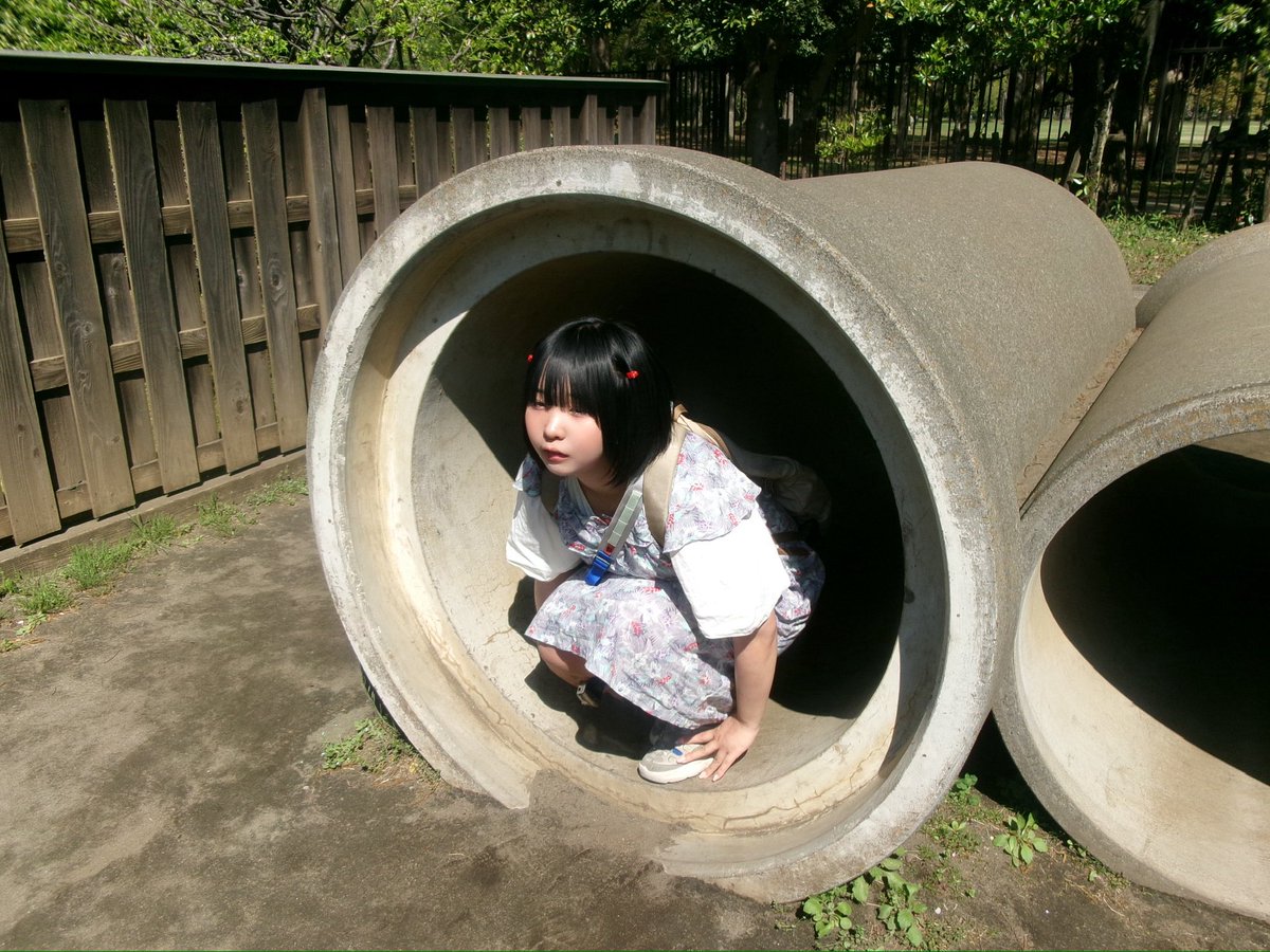 犬顔処刑 tweet media