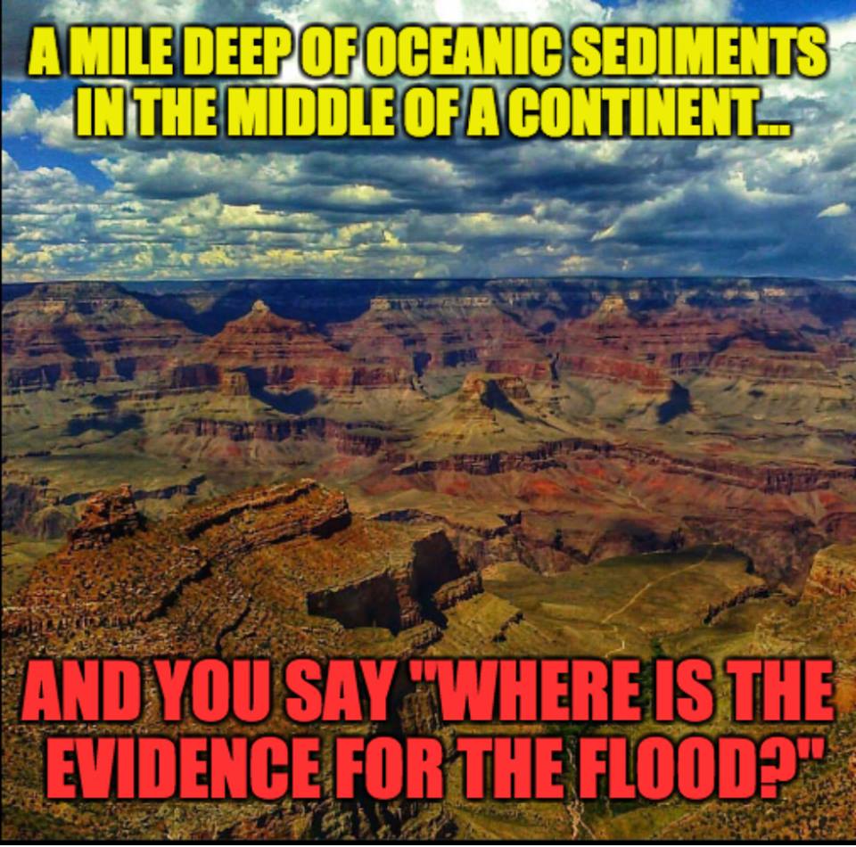 Not Evolution tweet media