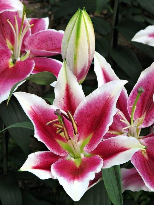 Roy Kelley tweet media