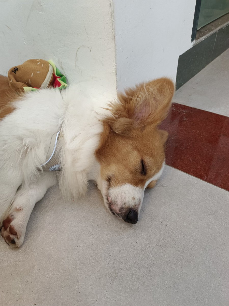 Melvina Y.Sohawon tweet media