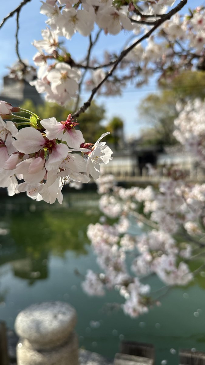 フレさん tweet media