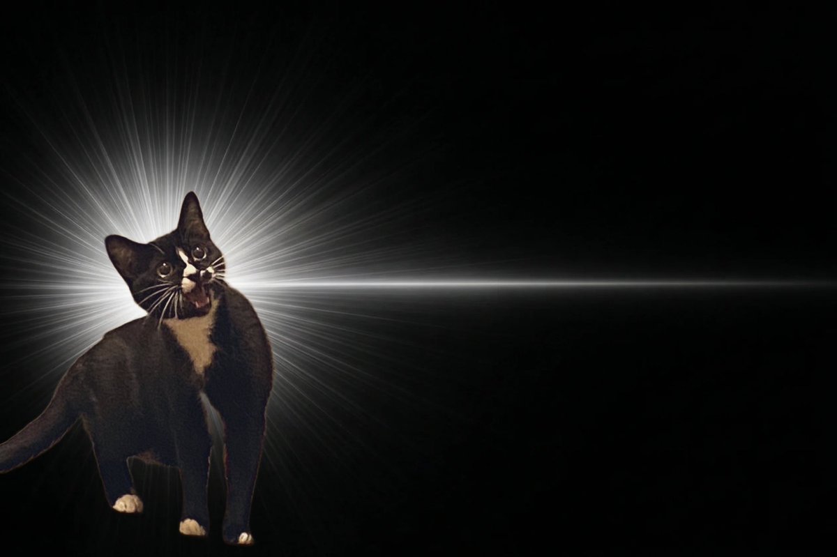 流行りのやってみた笑
かわいい笑