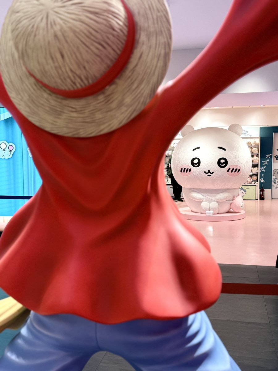 ✩* し ょ こ ✩⃛⁎ tweet media