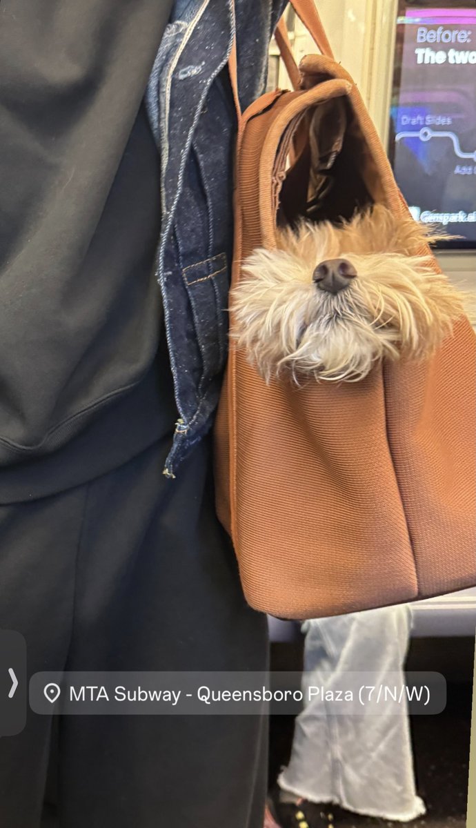 SubwayCreatures's tweet photo. https://t.co/4RiraX6hD7