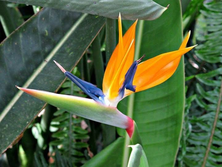 Roy Kelley tweet media